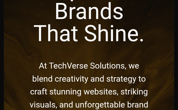 TechVerse Solutions